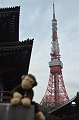 TYO_TokyoTowerZojojiTemple (11)